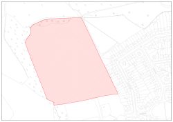 Tir yn Heol Archer, Gogledd Trelái